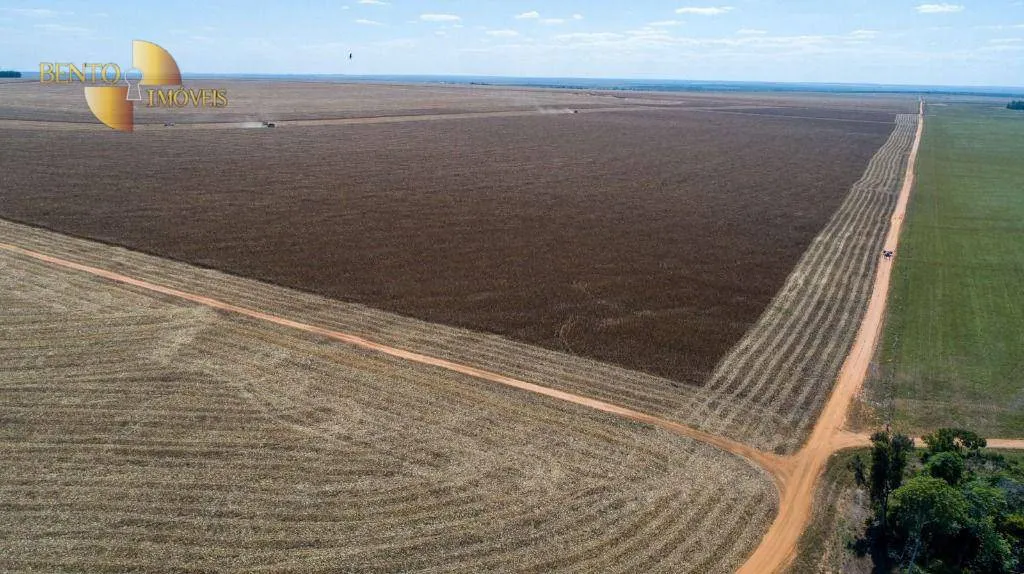Fazenda à venda de 5.000 ha em Campo Novo do Parecis, MT, Brasil