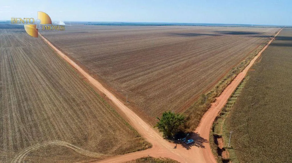 Fazenda à venda de 5.000 ha em Campo Novo do Parecis, MT, Brasil