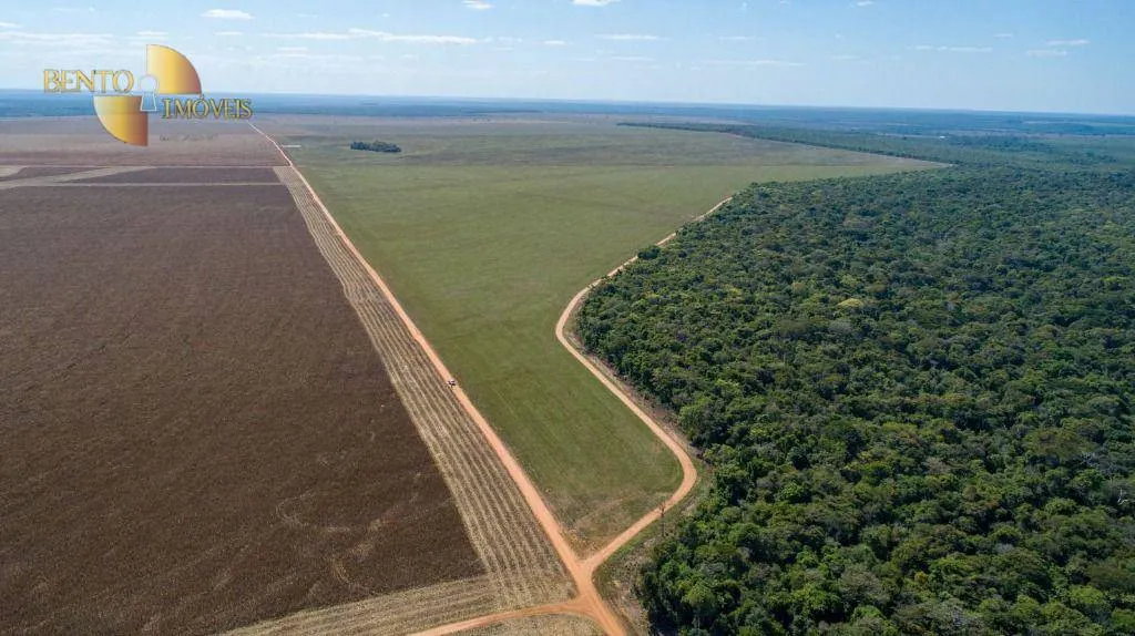 Fazenda à venda de 5.000 ha em Campo Novo do Parecis, MT, Brasil