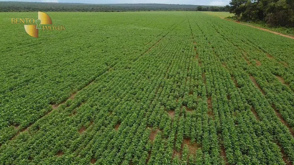 Fazenda à venda de 200 ha em Nova Mutum, MT, Brasil