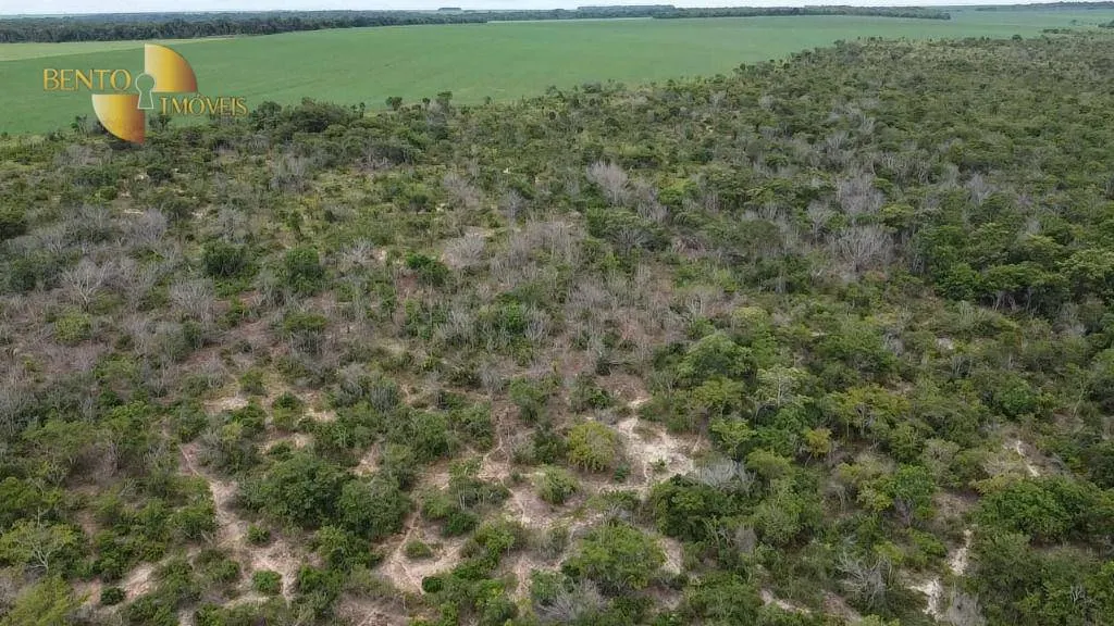 Farm for sale of 494 acres in Nova Mutum, MT, Brazil