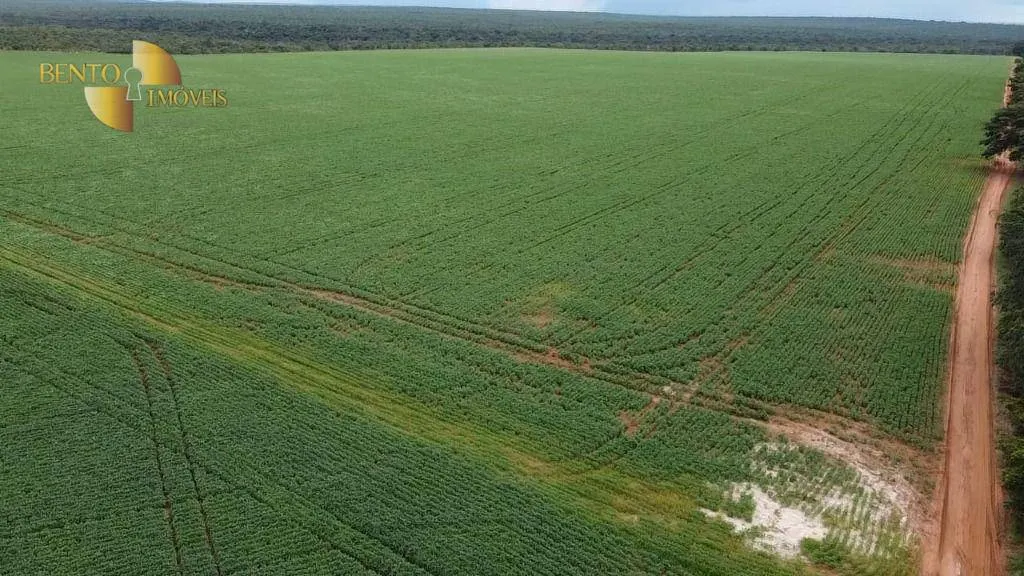 Farm for sale of 494 acres in Nova Mutum, MT, Brazil