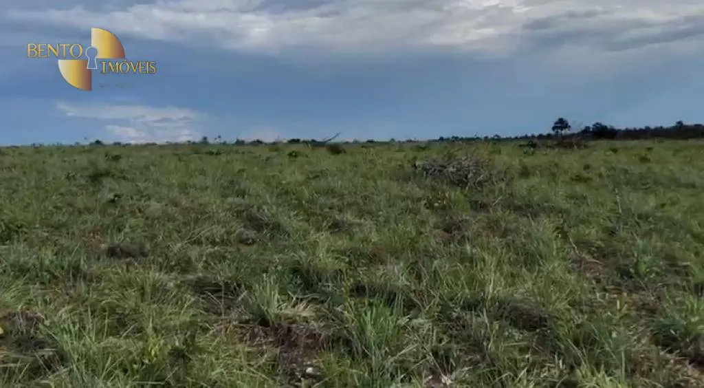 Fazenda à venda e para Arrendar de 1.500 ha em Paranatinga, MT, Brasil