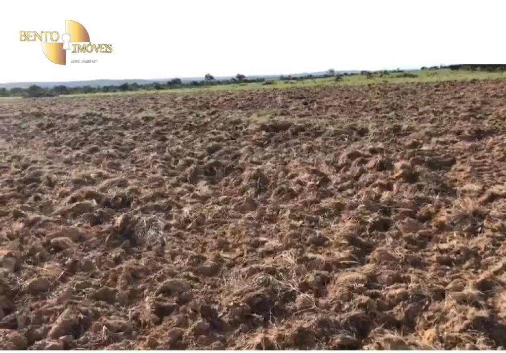 Fazenda à venda e para Arrendar de 1.500 ha em Paranatinga, MT, Brasil