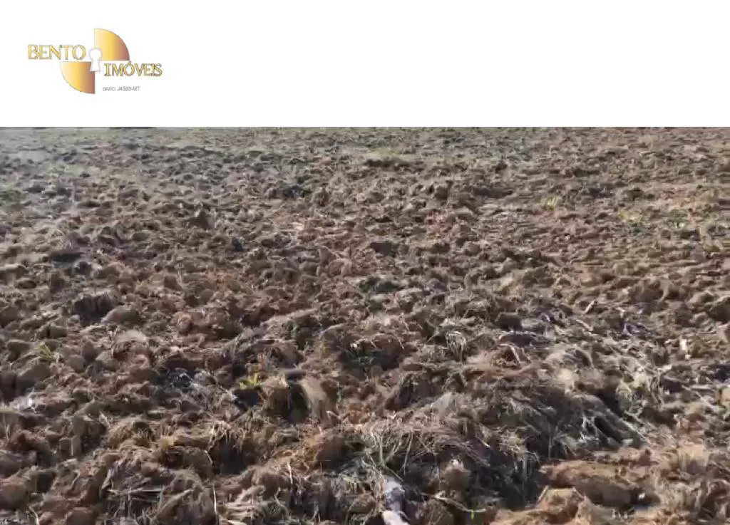 Fazenda à venda e para Arrendar de 1.500 ha em Paranatinga, MT, Brasil