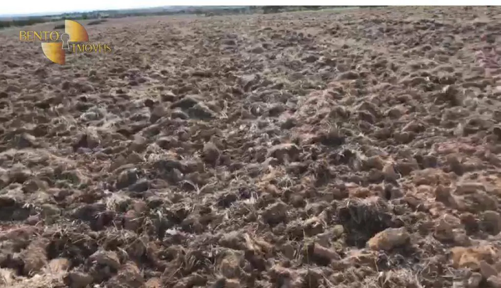 Fazenda à venda e para Arrendar de 1.500 ha em Paranatinga, MT, Brasil