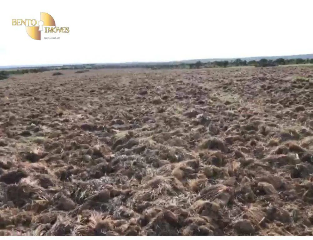Fazenda à venda e para Arrendar de 1.500 ha em Paranatinga, MT, Brasil