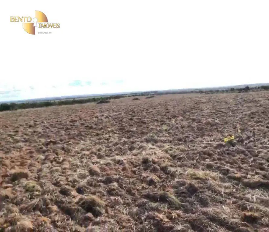 Fazenda à venda e para Arrendar de 1.500 ha em Paranatinga, MT, Brasil