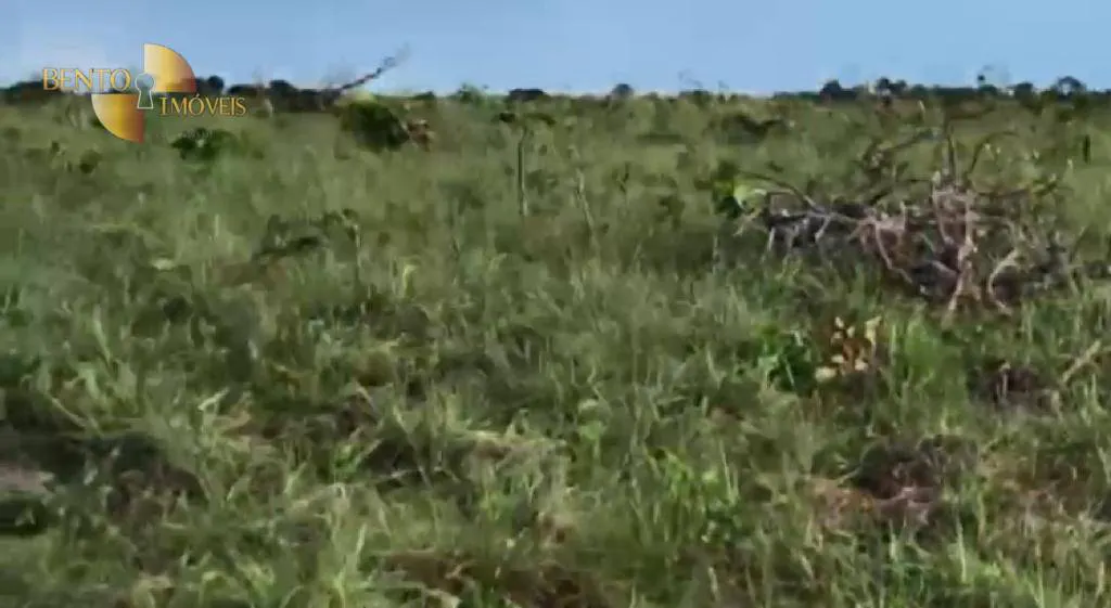 Fazenda à venda e para Arrendar de 1.500 ha em Paranatinga, MT, Brasil