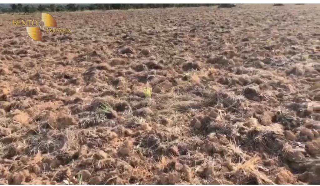 Fazenda à venda e para Arrendar de 1.500 ha em Paranatinga, MT, Brasil
