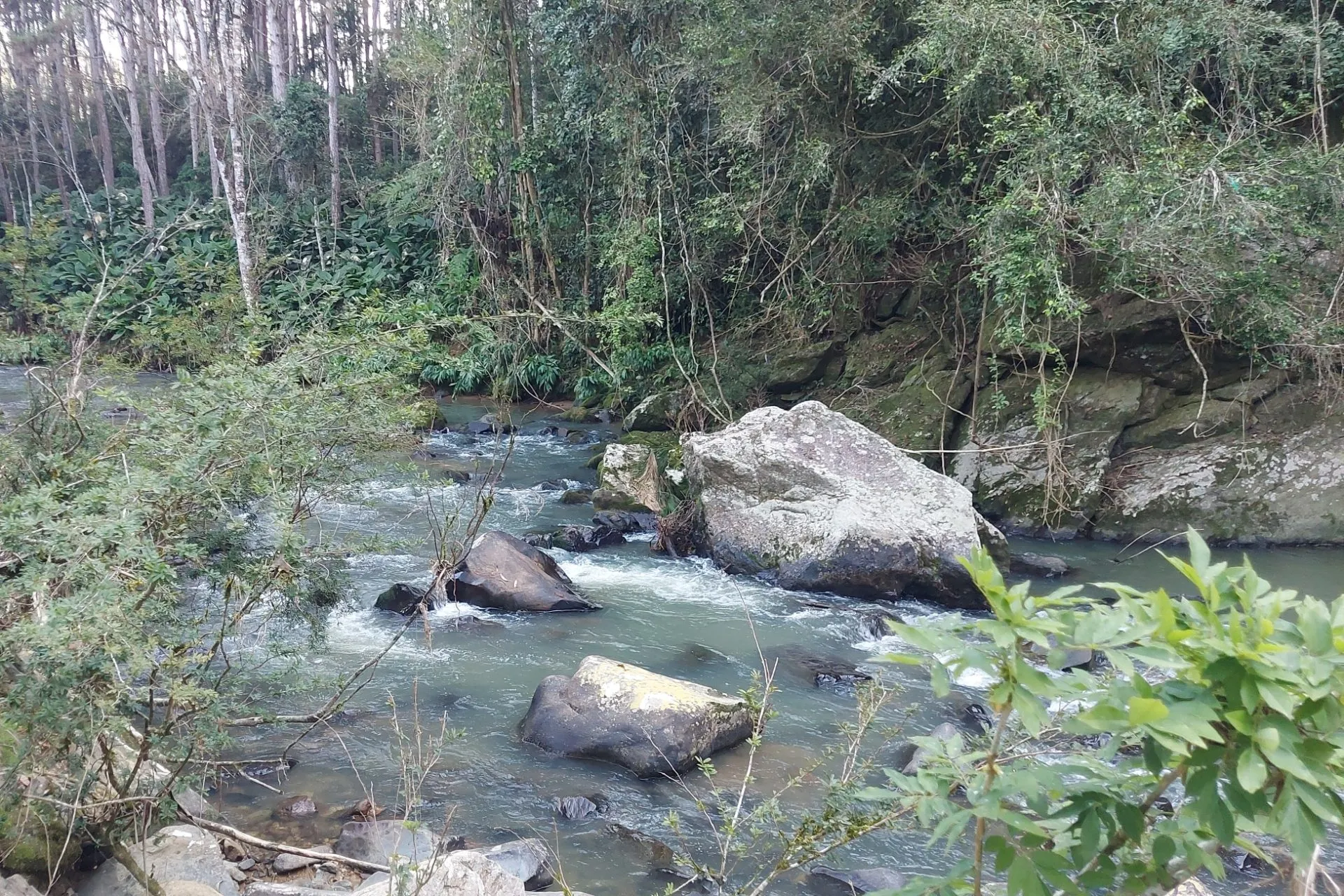 Country home for sale of 5 acres in Presidente Nereu, SC, Brazil