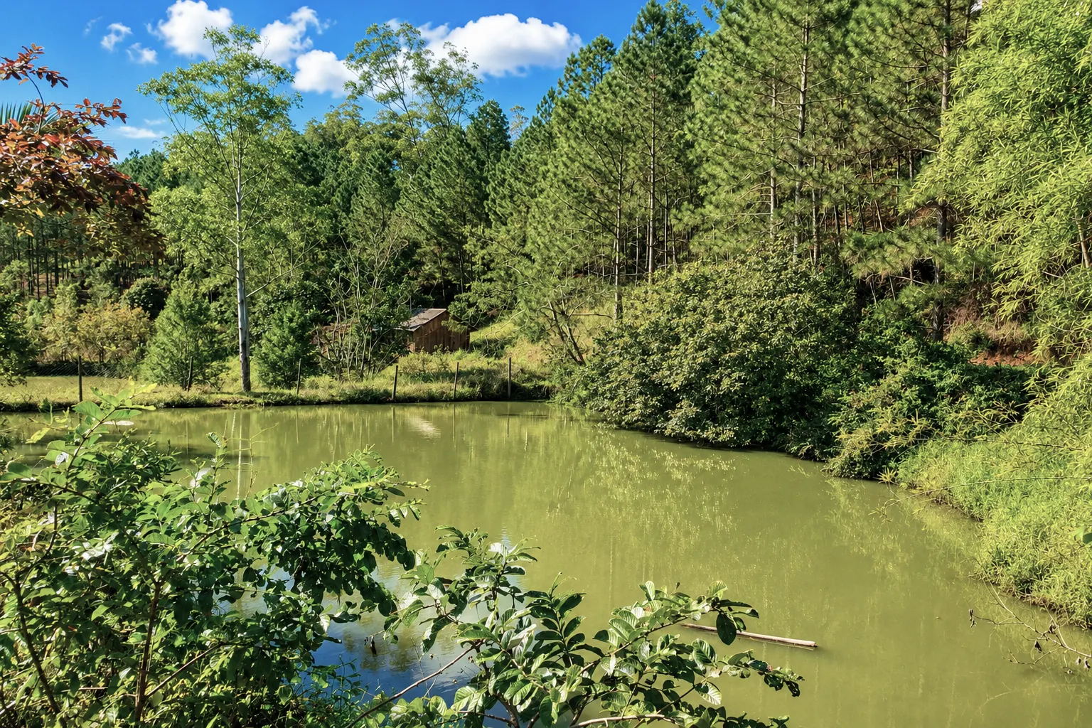 Country home for sale of 5 acres in Presidente Nereu, SC, Brazil