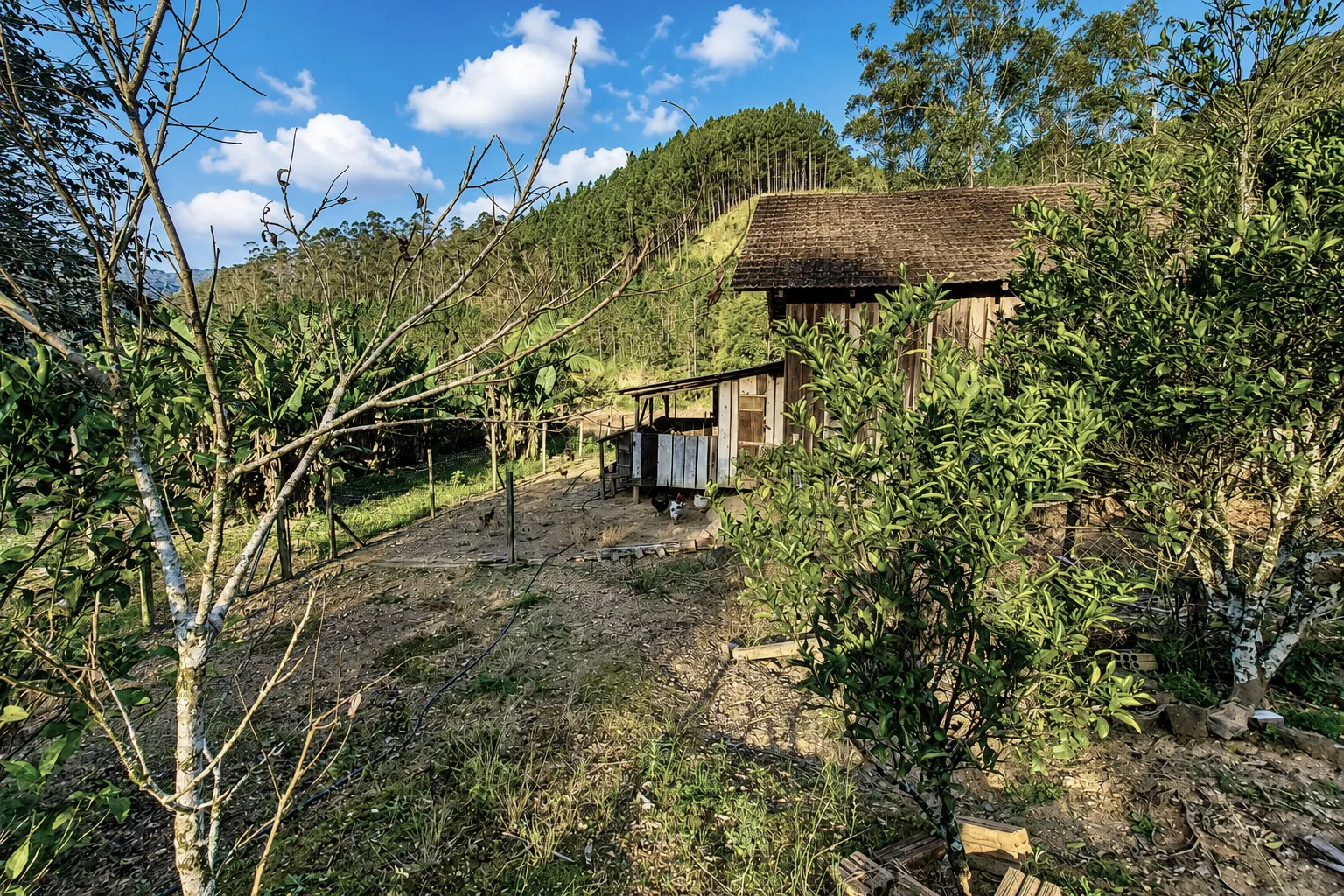 Country home for sale of 5 acres in Presidente Nereu, SC, Brazil