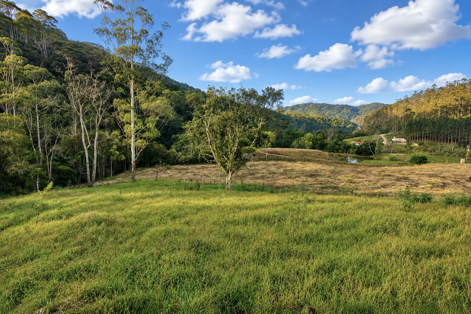 Country home for sale of 5 acres in Presidente Nereu, SC, Brazil