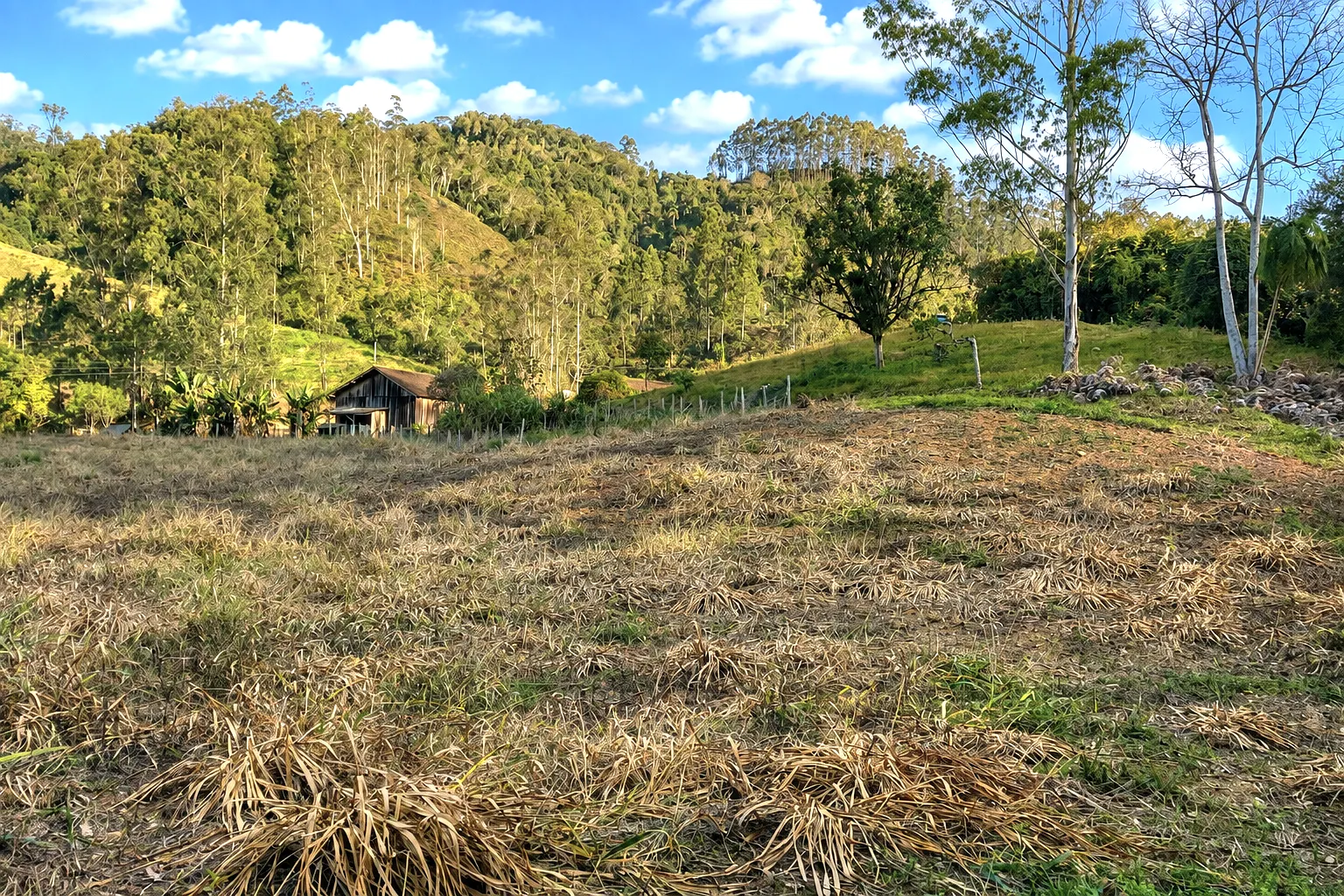 Country home for sale of 5 acres in Presidente Nereu, SC, Brazil