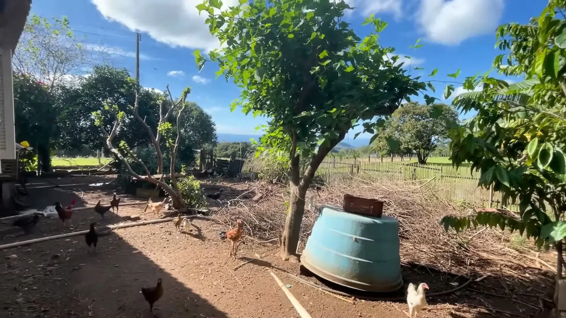 Country home for sale of 1,500 m² in Taquara, RS, Brazil