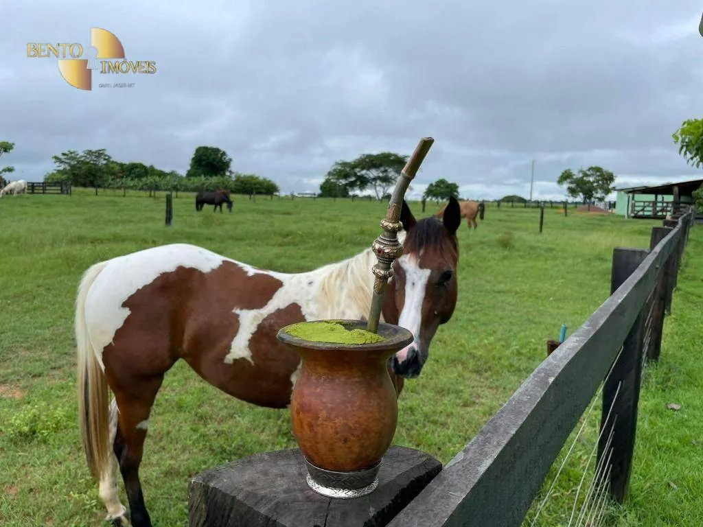 Fazenda à venda de 101 ha em Terra Nova do Norte, MT, Brasil