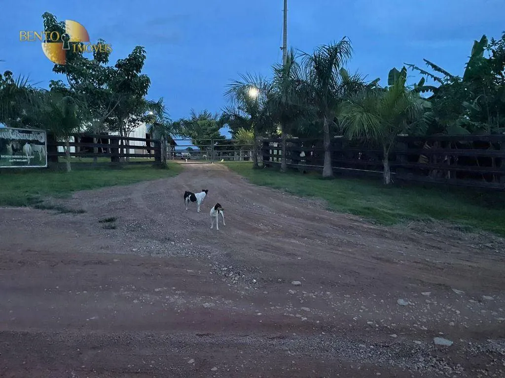 Fazenda à venda de 101 ha em Terra Nova do Norte, MT, Brasil