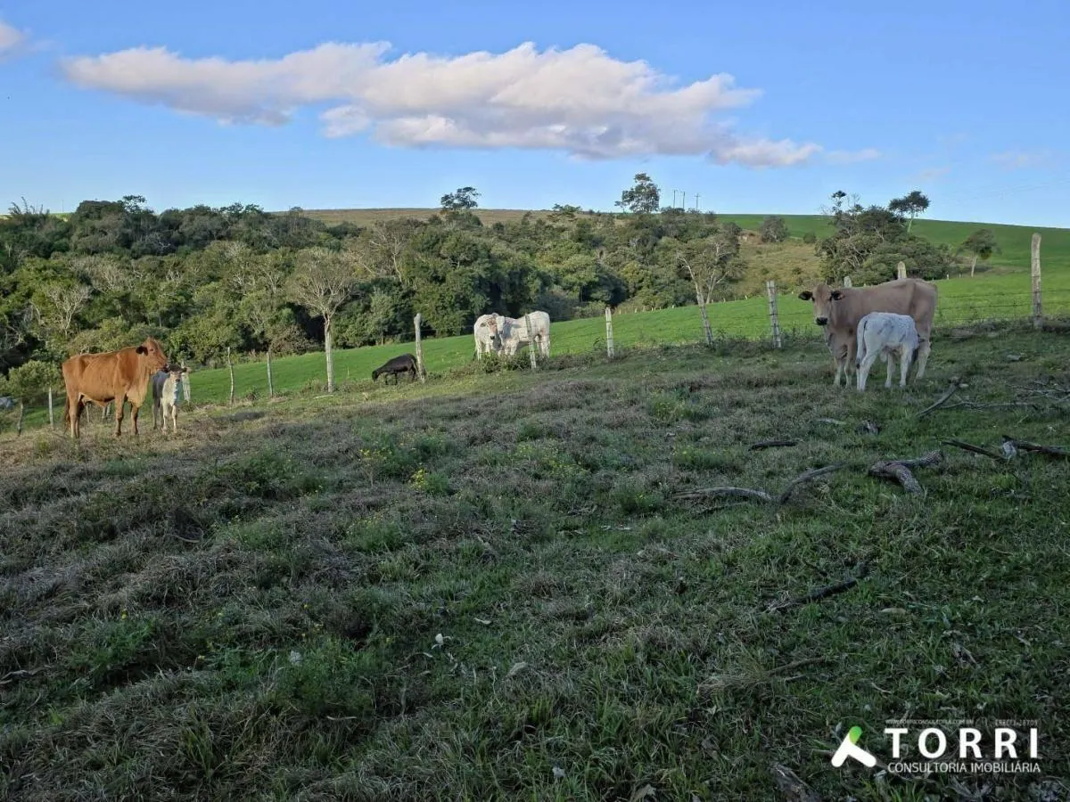 Fazenda à venda de 116 ha em Itapetininga, SP, Brasil