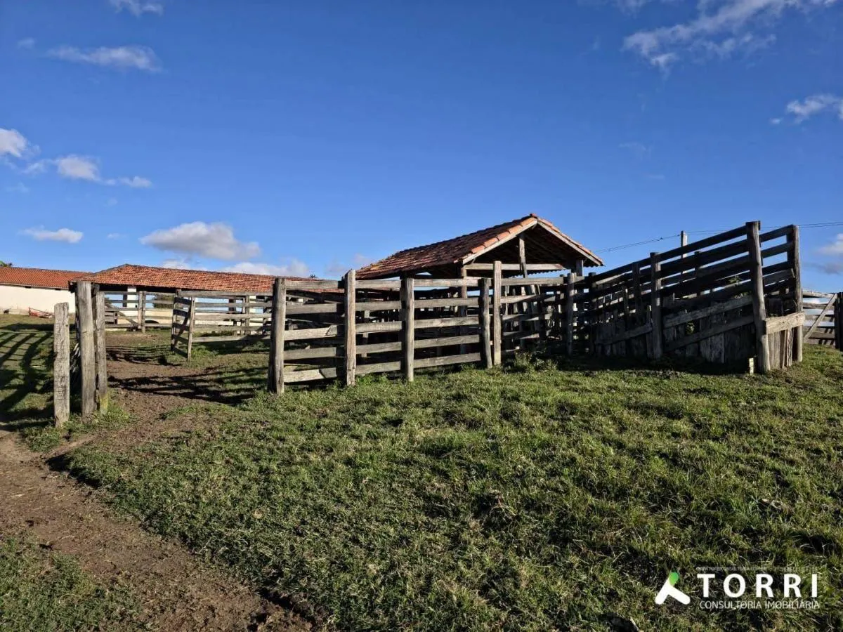 Fazenda à venda de 116 ha em Itapetininga, SP, Brasil