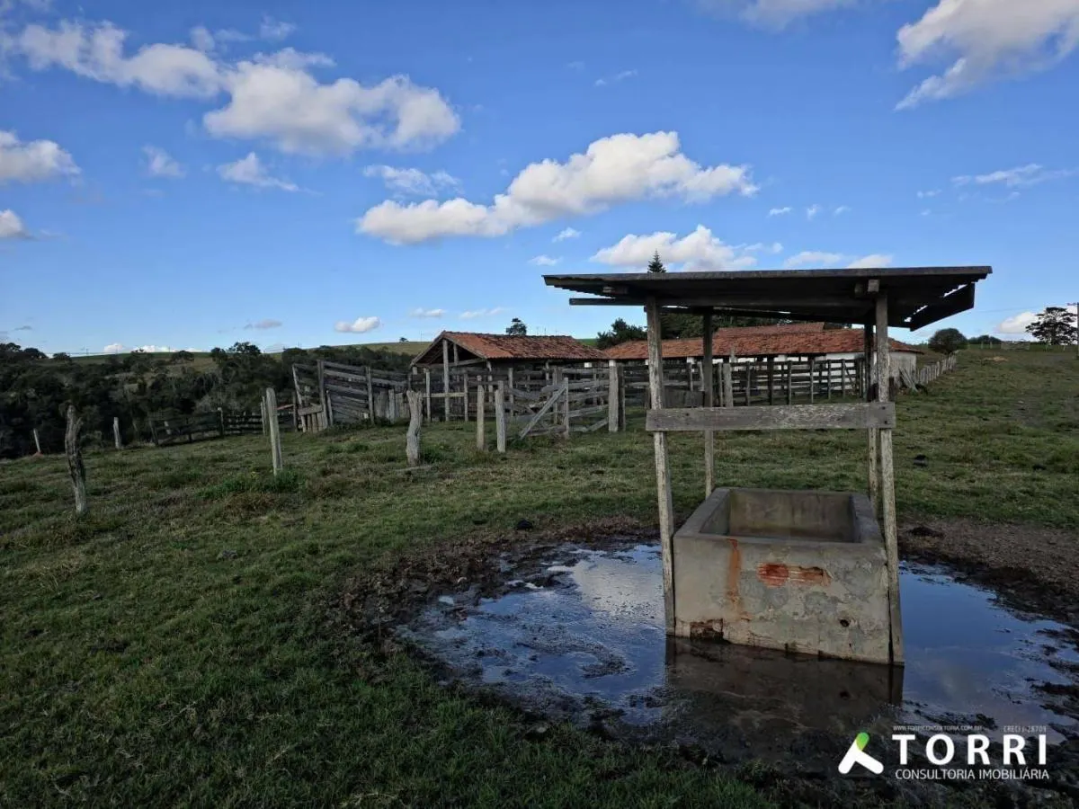 Fazenda à venda de 116 ha em Itapetininga, SP, Brasil