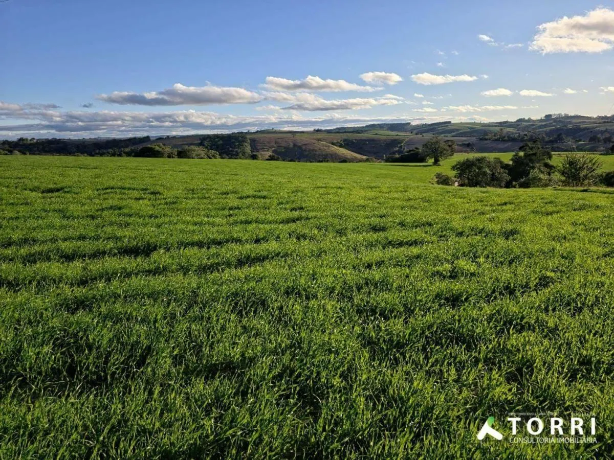 Fazenda à venda de 116 ha em Itapetininga, SP, Brasil