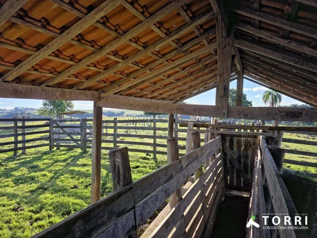 Fazenda à venda de 116 ha em Itapetininga, SP, Brasil