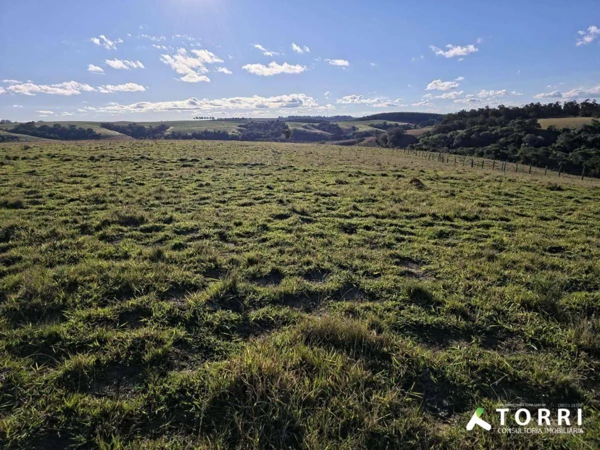 Fazenda à venda de 116 ha em Itapetininga, SP, Brasil