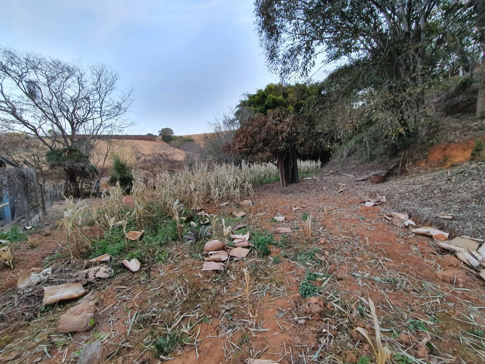 Chácara à venda de 3 ha em Ouro Fino, MG, Brasil