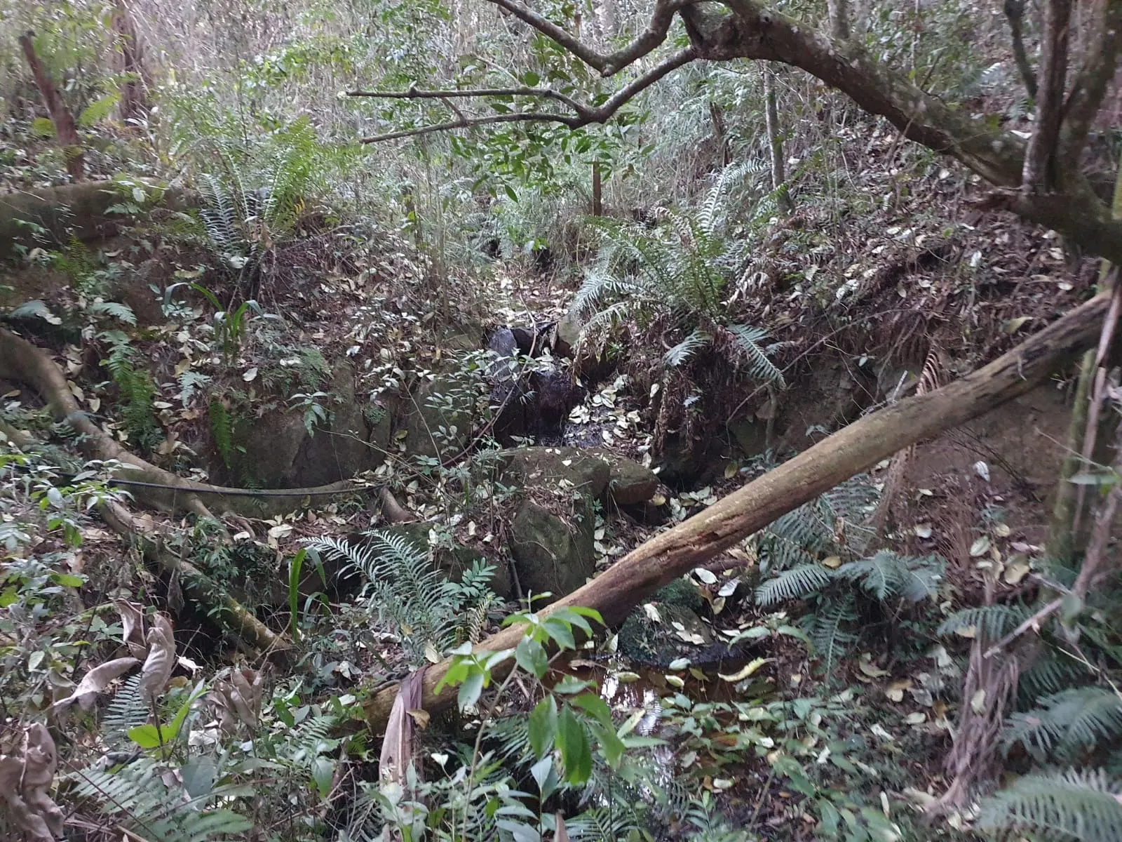 Chácara à venda de 3 ha em Ouro Fino, MG, Brasil