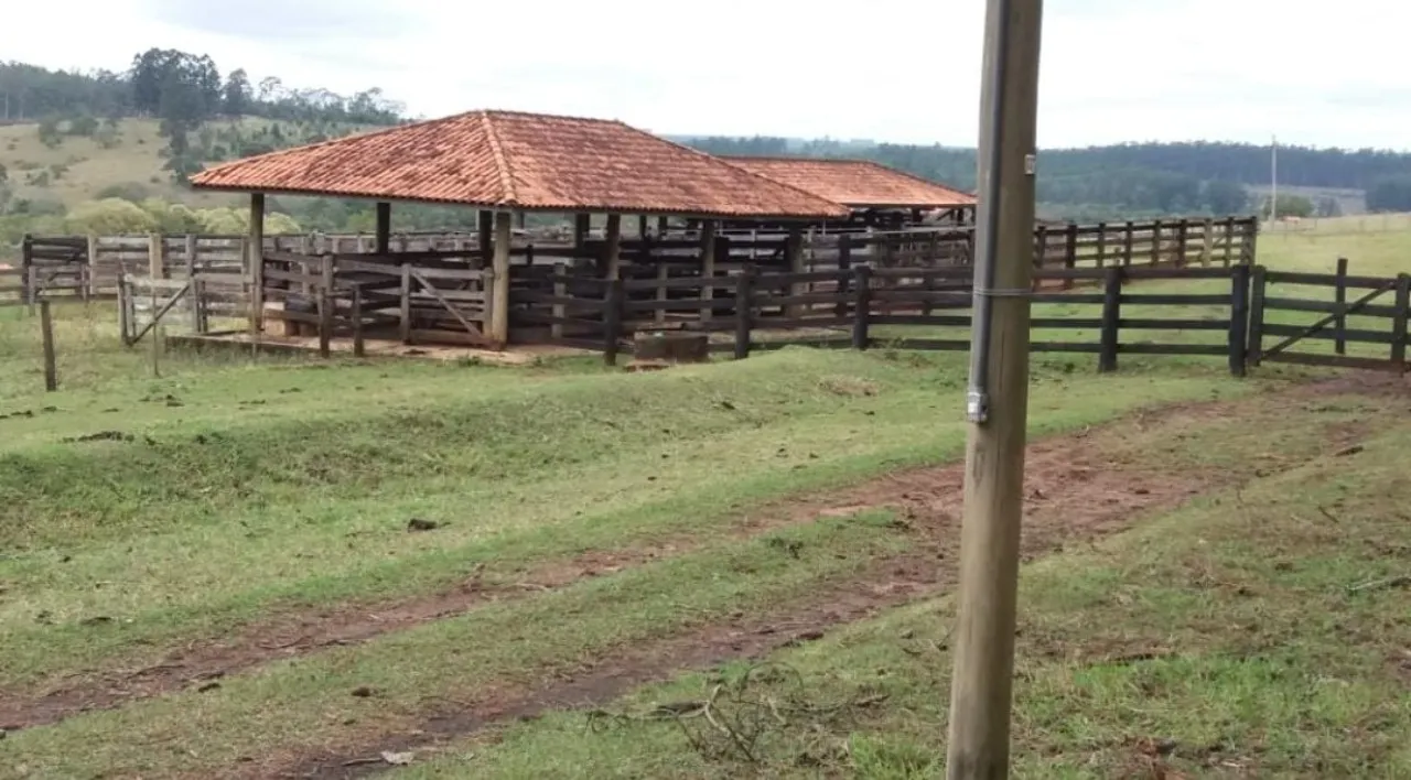 Fazenda à venda de 332 ha em Avaré, SP, Brasil