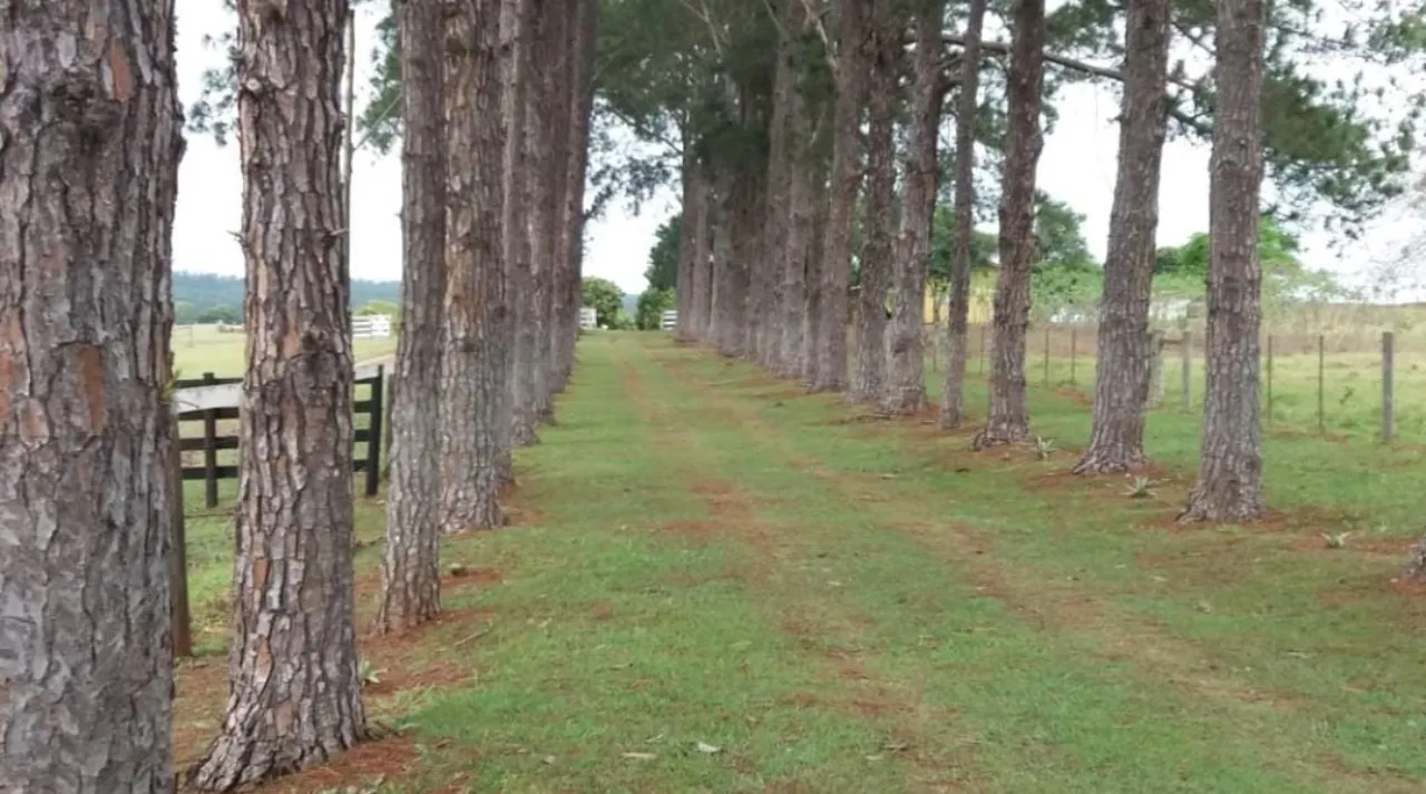 Fazenda à venda de 332 ha em Avaré, SP, Brasil