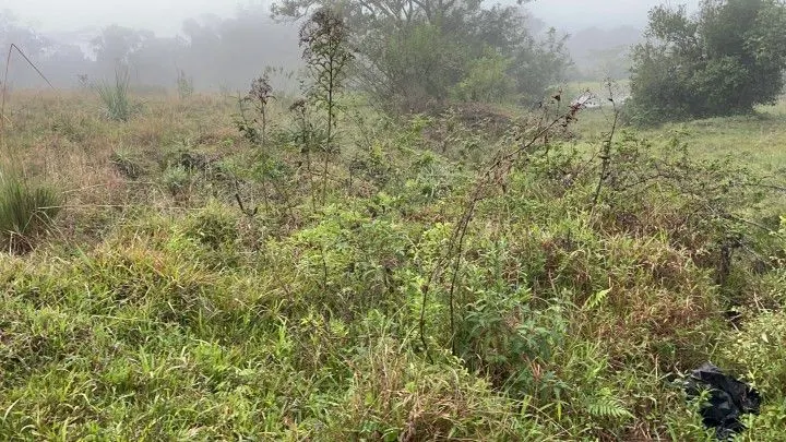 Country home for sale of 3 acres in Rolante, RS, Brazil