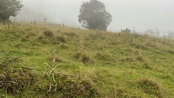 Country home for sale of 3 acres in Rolante, RS, Brazil