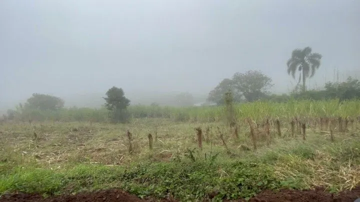 Country home for sale of 3 acres in Rolante, RS, Brazil