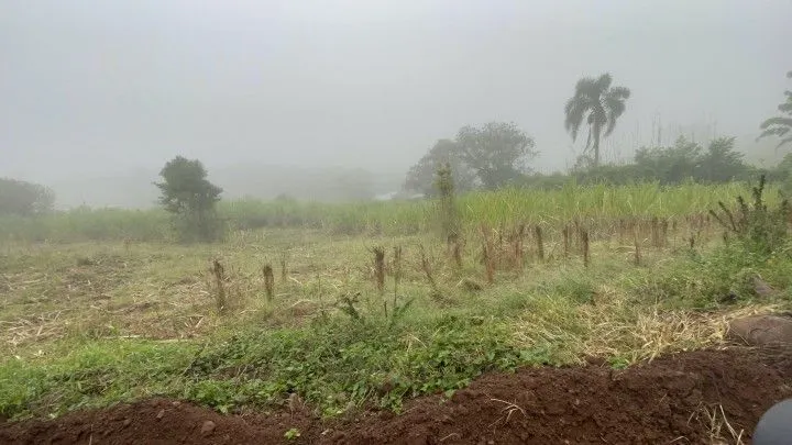 Chácara à venda de 1 ha em Rolante, RS, Brasil