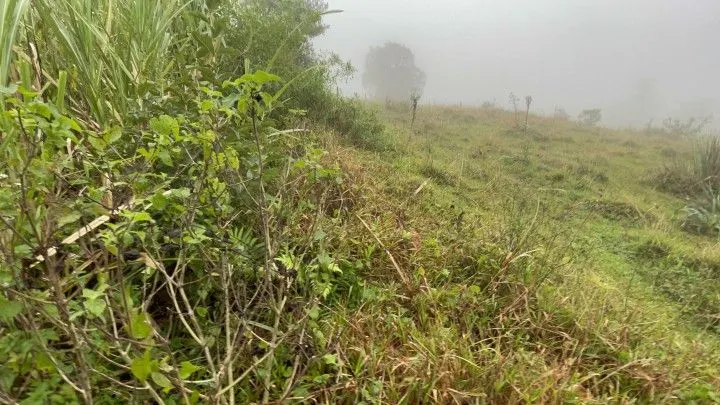 Country home for sale of 3 acres in Rolante, RS, Brazil