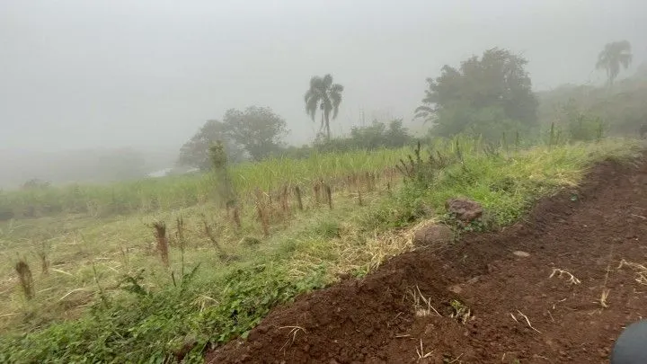 Country home for sale of 3 acres in Rolante, RS, Brazil