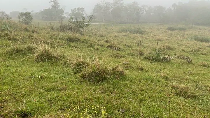 Country home for sale of 3 acres in Rolante, RS, Brazil