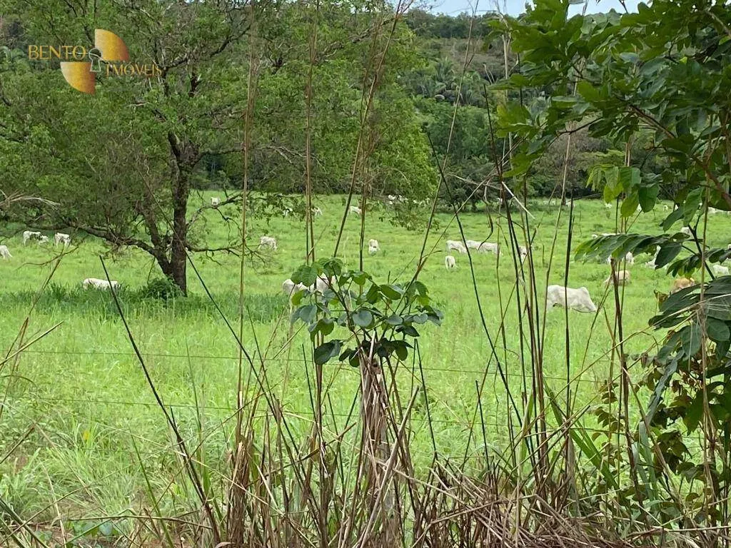 Fazenda à venda de 852 ha em Chapada dos Guimarães, MT, Brasil