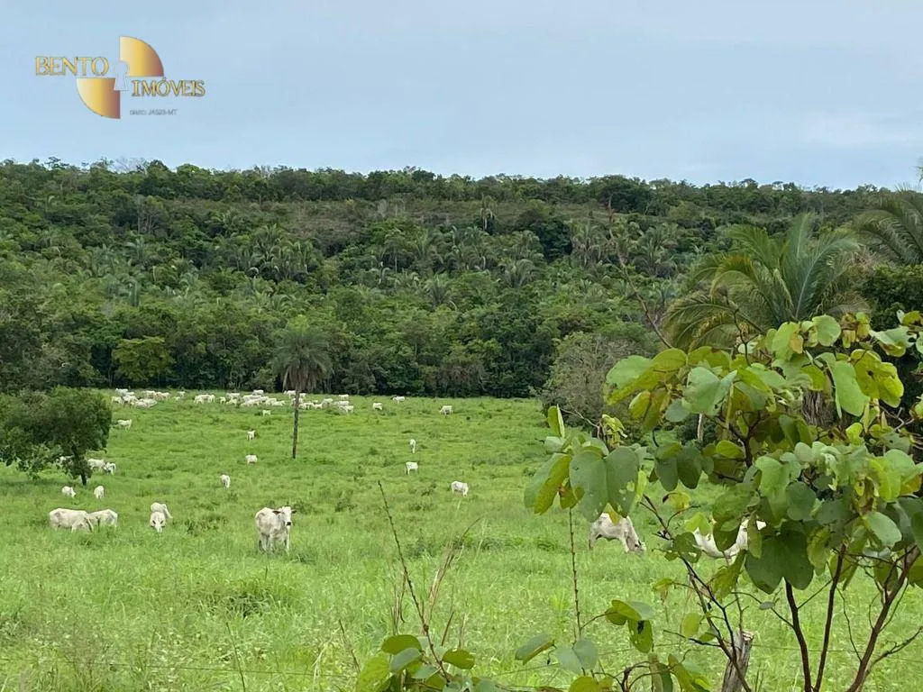 Fazenda à venda de 852 ha em Chapada dos Guimarães, MT, Brasil