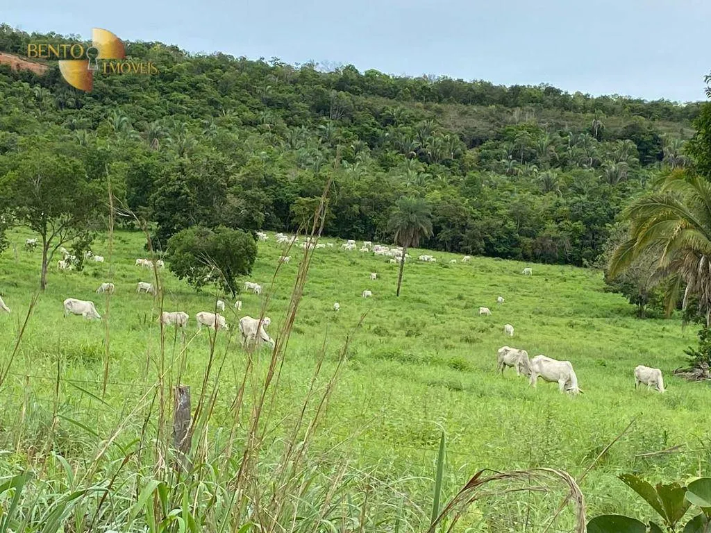 Fazenda à venda de 852 ha em Chapada dos Guimarães, MT, Brasil