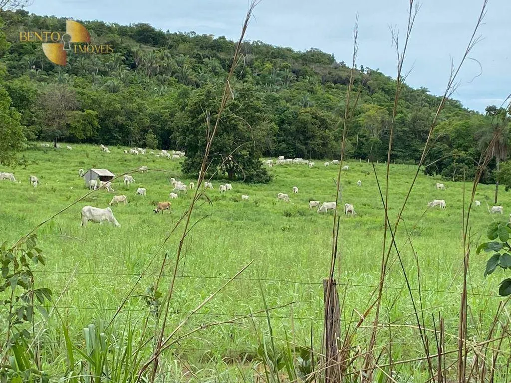 Fazenda à venda de 852 ha em Chapada dos Guimarães, MT, Brasil
