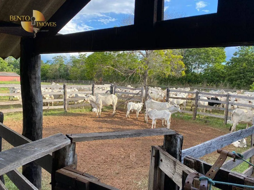 Fazenda à venda de 852 ha em Chapada dos Guimarães, MT, Brasil
