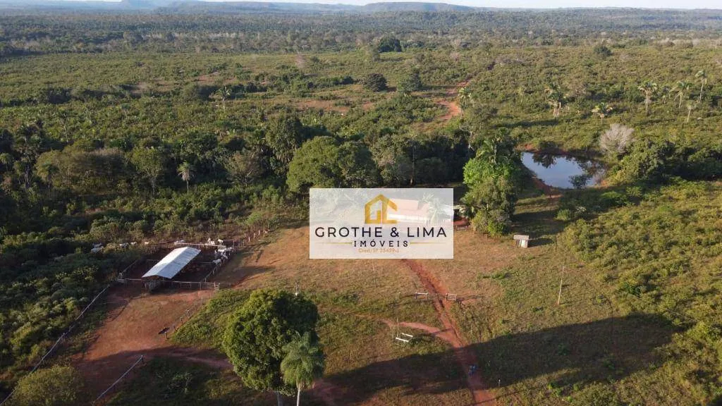 Farm for sale of 1,555 acres in Araguaína, TO, Brazil