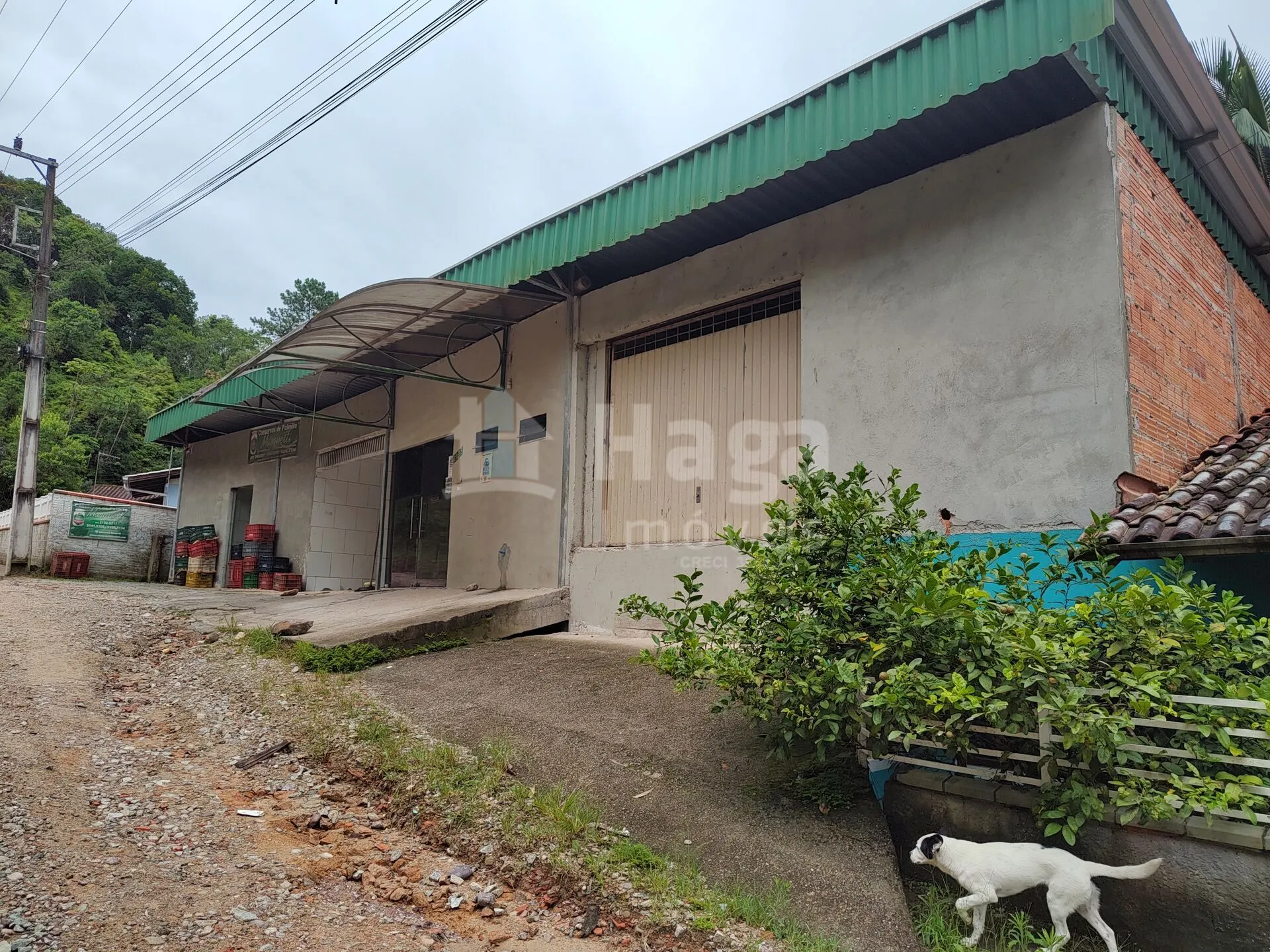 Farm for sale of 2,000 m² in Gaspar, SC, Brazil