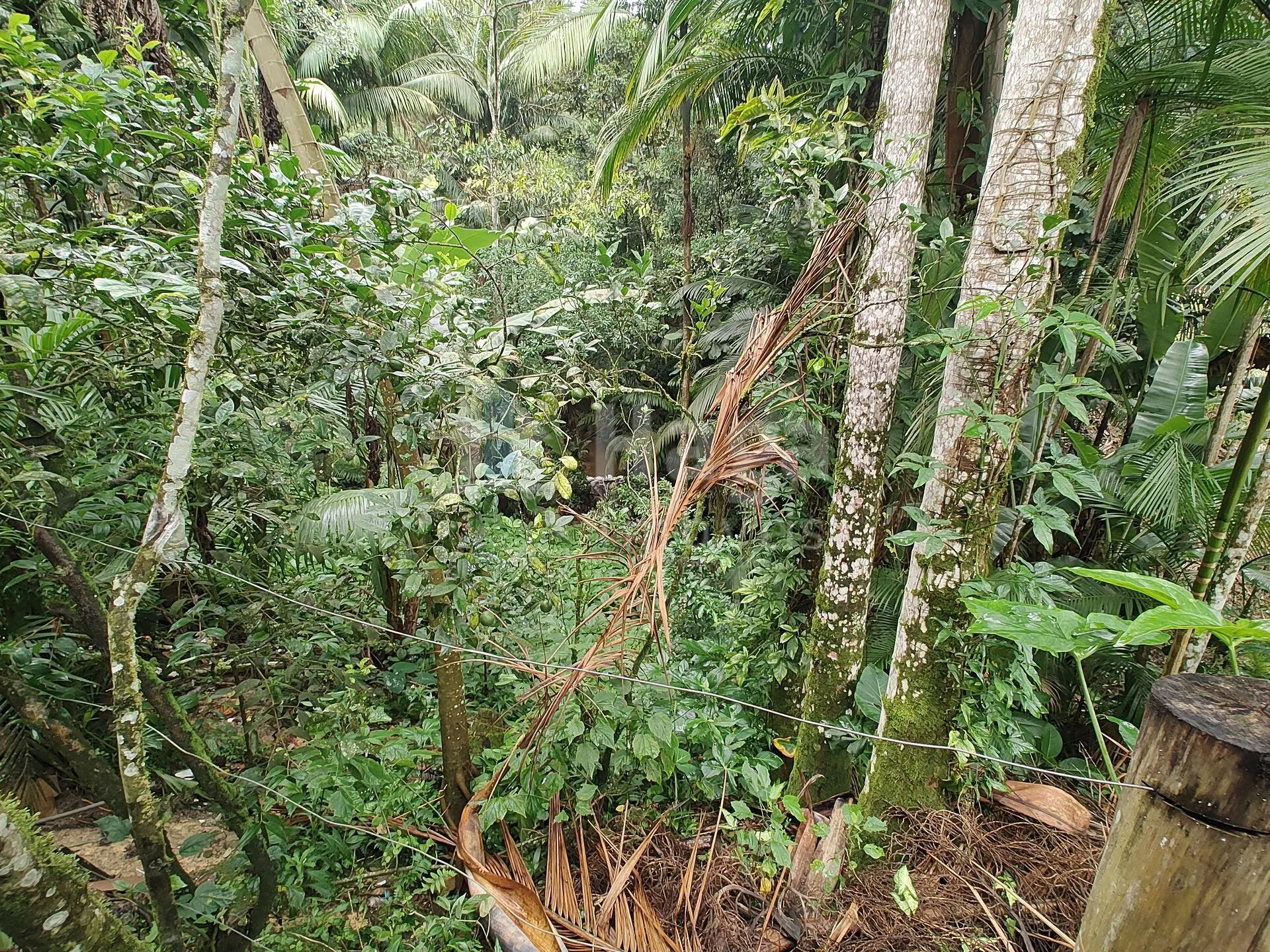 Farm for sale of 2,000 m² in Gaspar, SC, Brazil