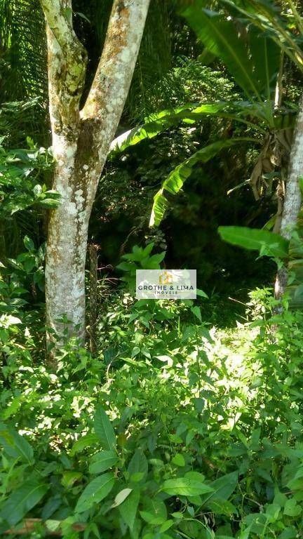 Усадьба на продажу 3 ha в São José dos Campos, SP, Бразилия