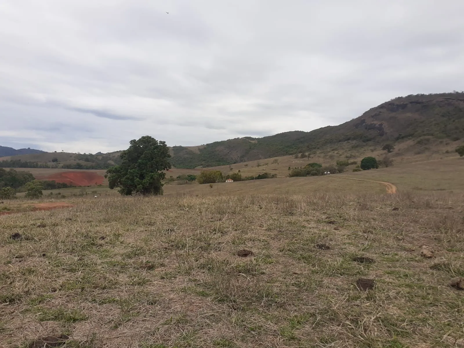 Farm for sale of 1,136 acres in Pouso Alegre, MG, Brazil