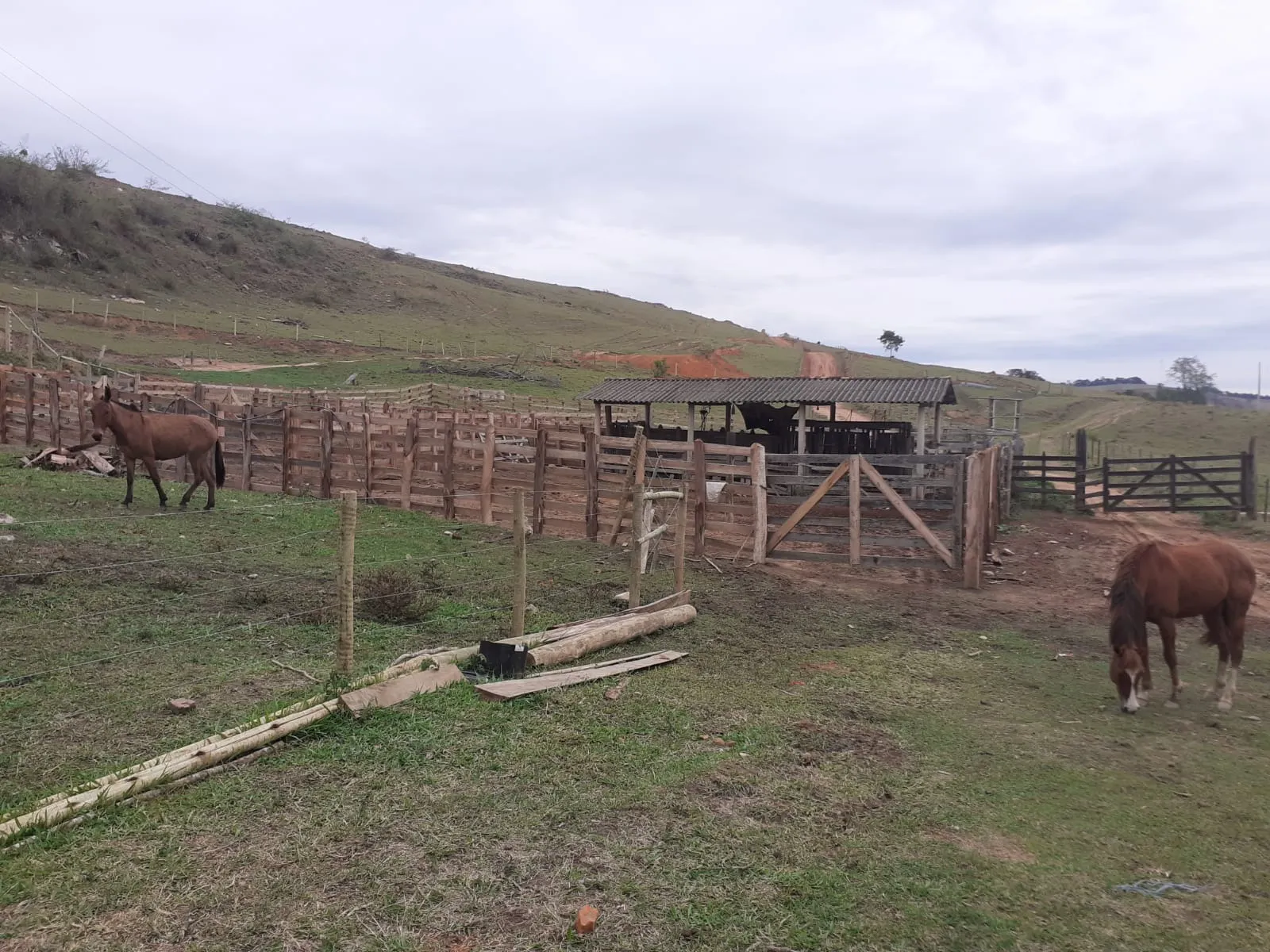 Farm for sale of 1,136 acres in Pouso Alegre, MG, Brazil